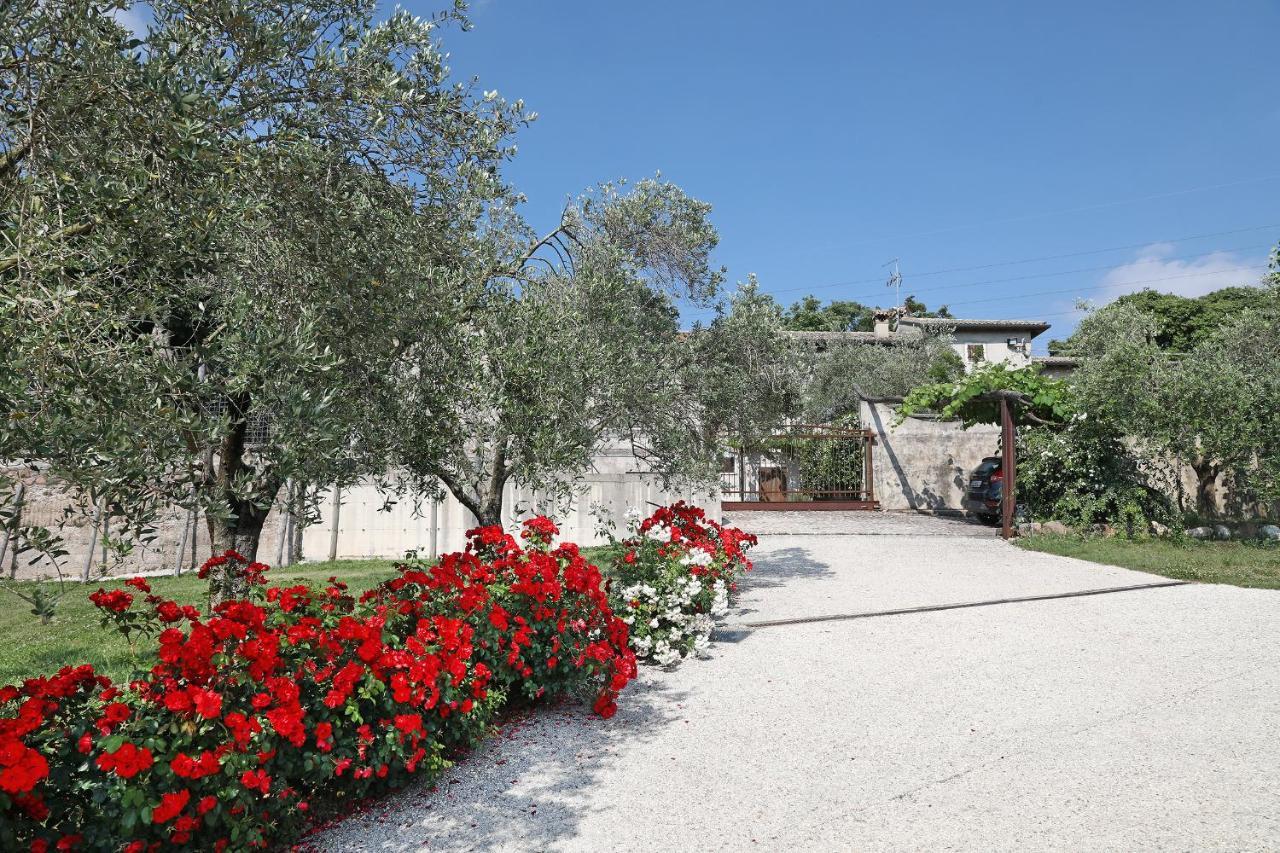 Serene Holiday And Wine Farm Affi Luaran gambar