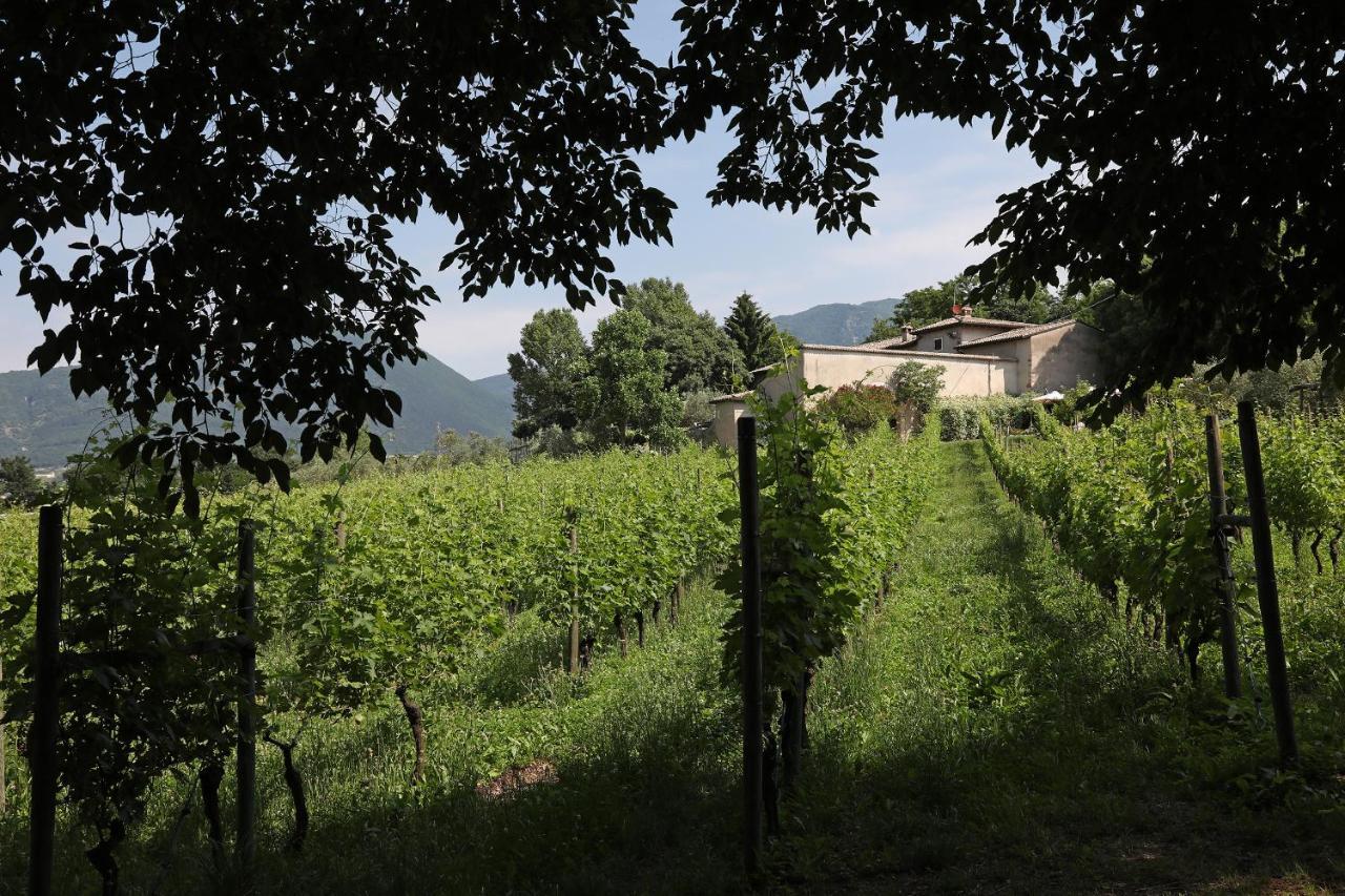 Serene Holiday And Wine Farm Affi Luaran gambar