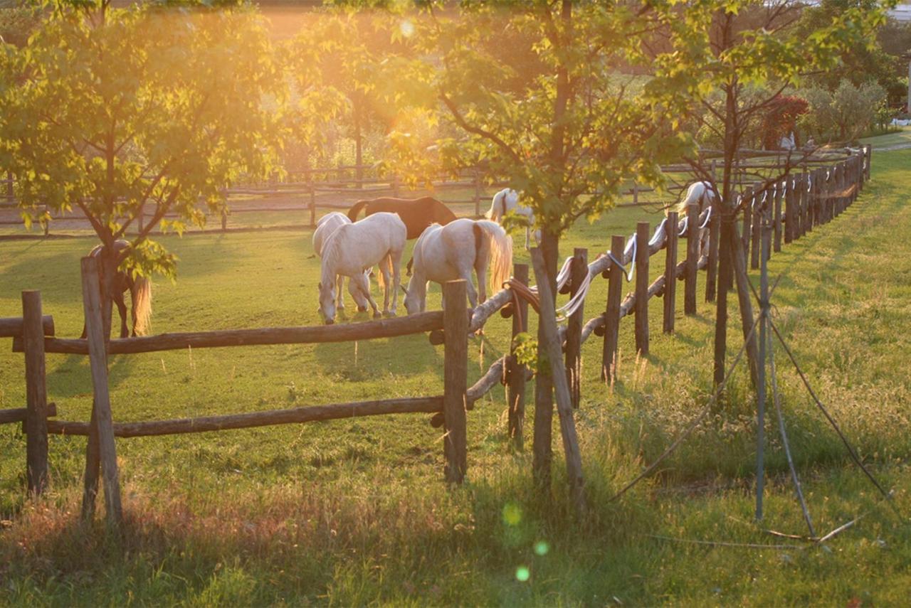 Serene Holiday And Wine Farm Affi Luaran gambar