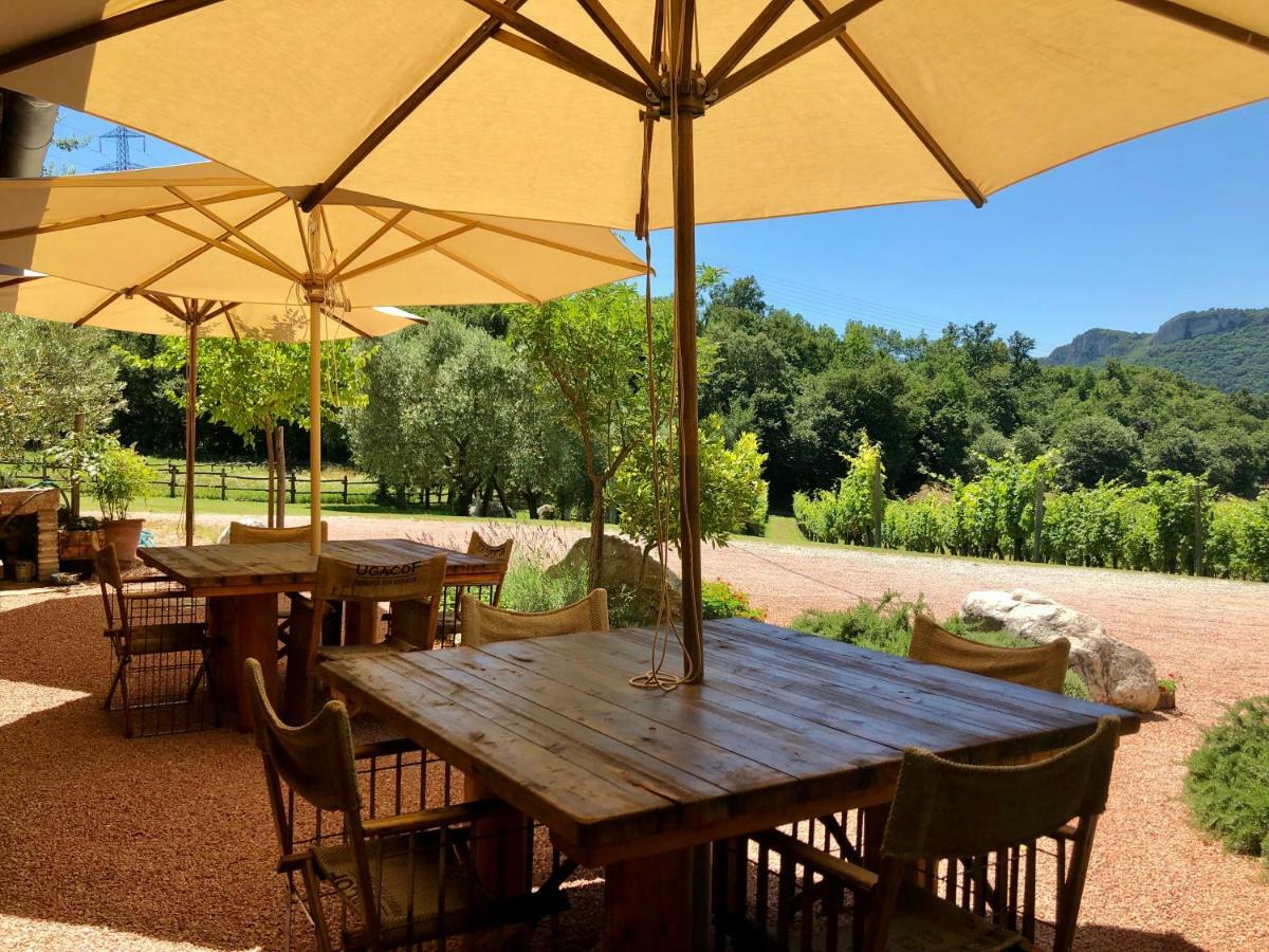 Serene Holiday And Wine Farm Affi Luaran gambar